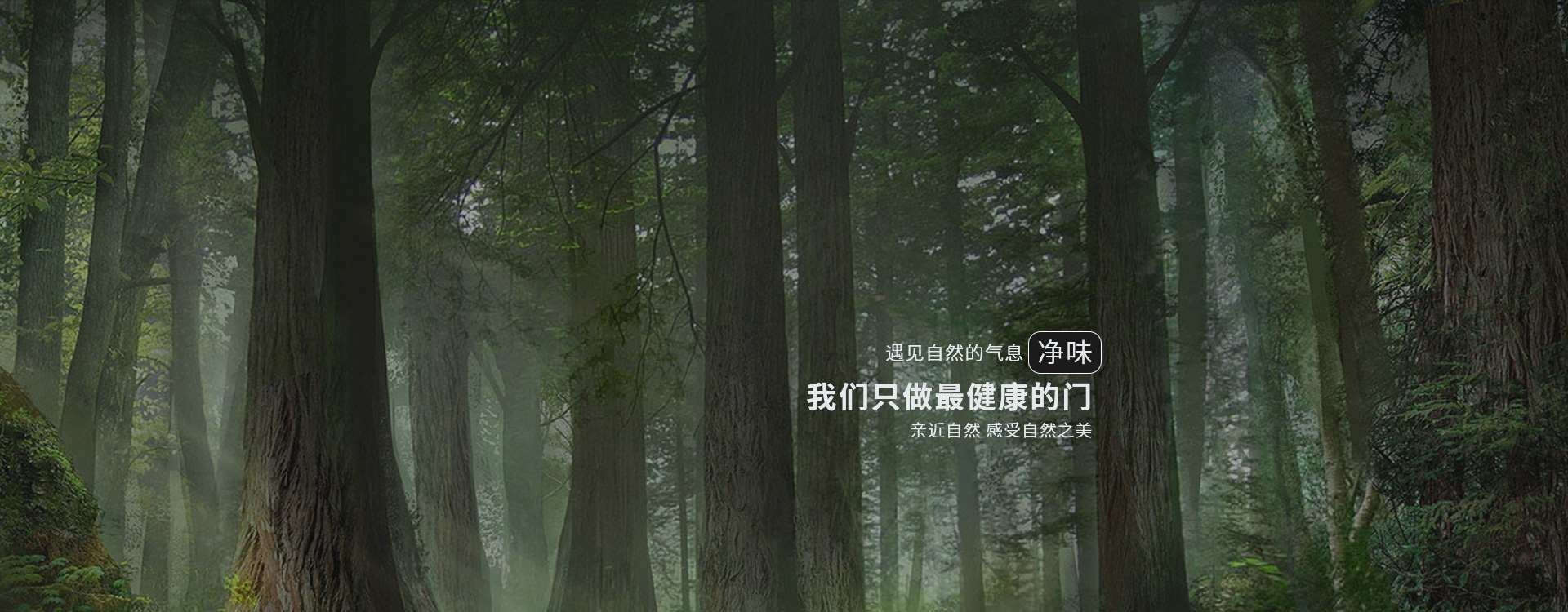 电脑端-首页滚动大图3